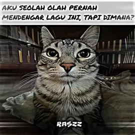 kayak kenal...🎵🎵 | #xyzbca #dance #indøgrp #keluargasomat #dudung 