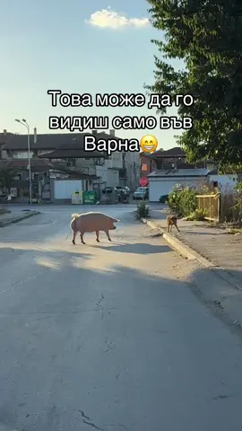 #foryou #fyp #fyppppppppppppppppppppppp 