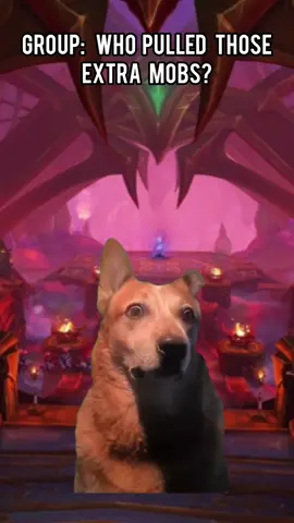 who pulled thoes extra Mobs? #wowtok #warcraft #worldofwarcraftmemes  #wow #wowclassic 