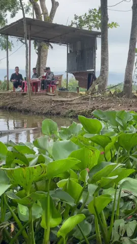 nhứt nách #xuhuong #câucagiaitri 