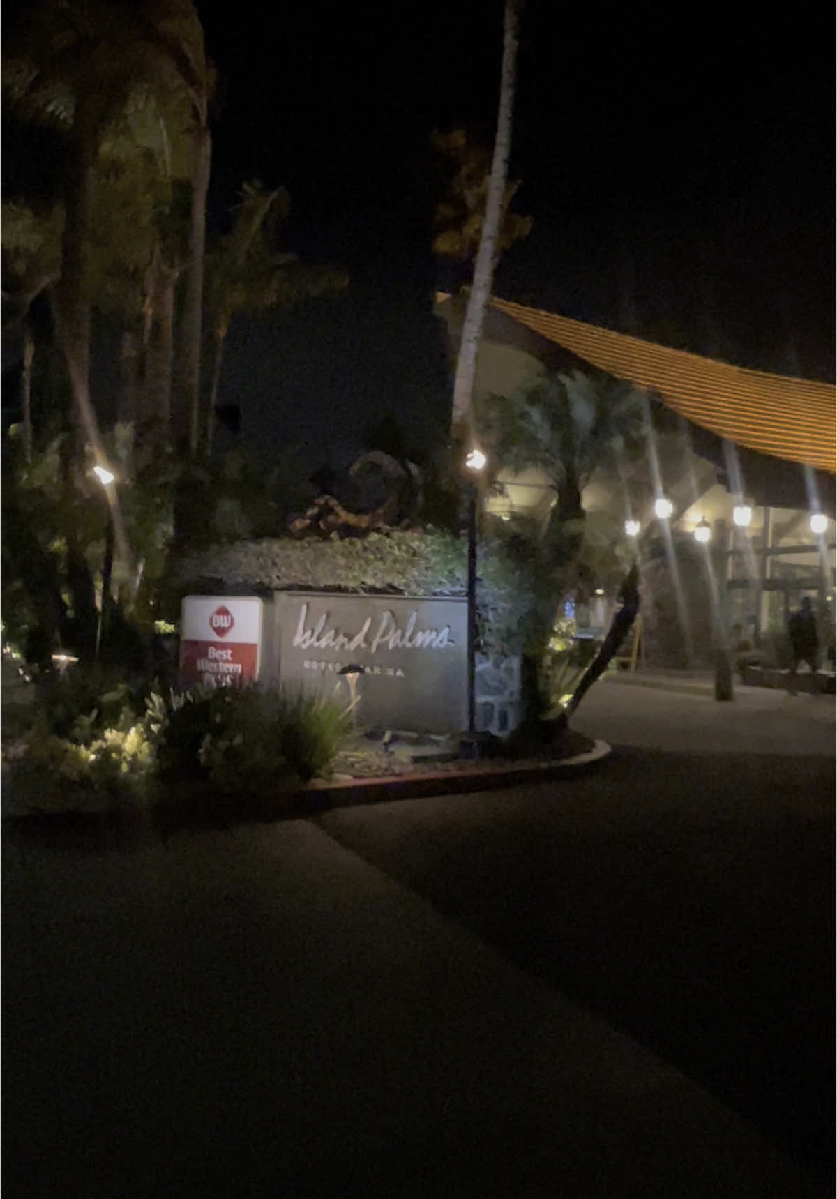 🌴✨ San Diego nights never looked this dreamy! We checked into Best Western PLUS Island Palms Hotel & Marina and the tropical vibes + bay views = perfection 🌊💫 #TikTokGOStay  ➡️ Book now for your own Island Palms escape—San Diego is calling!