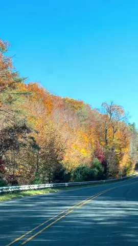 #northcarolina 🍁🧡🍂