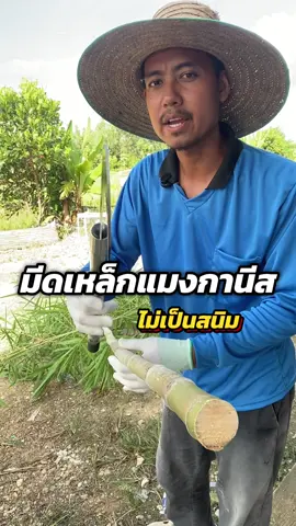 #มีดเหล็กแมงกานีส #มีด #มีดเคียวเหล็กแมงกานีส #มีดคมมาก #มีดเคียวด้ามยาว 