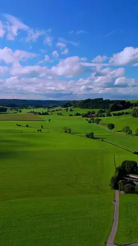 #aesthetic #nature #relax #moody #world 