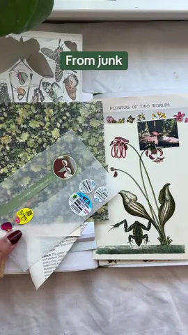 From junk to junk journal - a spread of the Singapore zoo #junkjournal #junkjournalideas #creatorsearchinsights #scrapbooking #journalinspo 