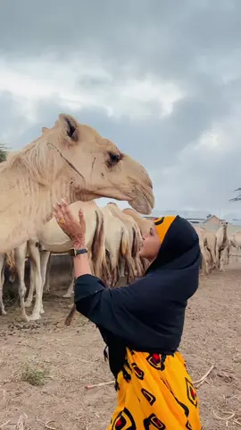 Cida gela gabadhod ❤️😍
