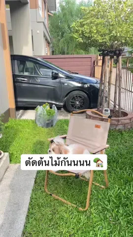 🩵 #บ้านฉัน #จัดสวน #บ้าน #เลื่อยไฟฟ้าไร้สายตัดกิ่งไม้ 