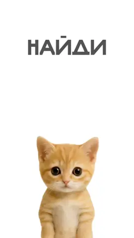 как найти свой стиль в одежде? #стиль #stretwear #одежда #реки #рекомендации 