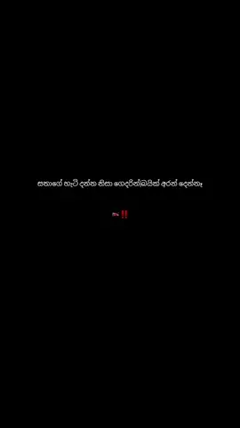 Part 89 🏍️‼️ | #highcapacitysrilanka🇱🇰 #srilankatiktok #dtracker #bikelife #fypシ 