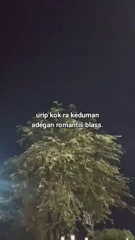 Uwalah gatel gatel#katakataromantis #gatelgatel #orakedumanromantisblas #foryou #fypシ 