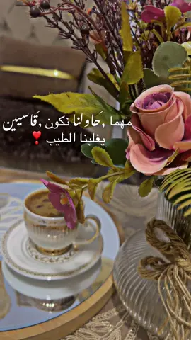 مهما حاولنا نكون قاسيين يغلبنا الطيب ❣️