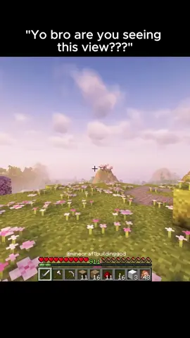 #gaming #Minecraft #fyp 