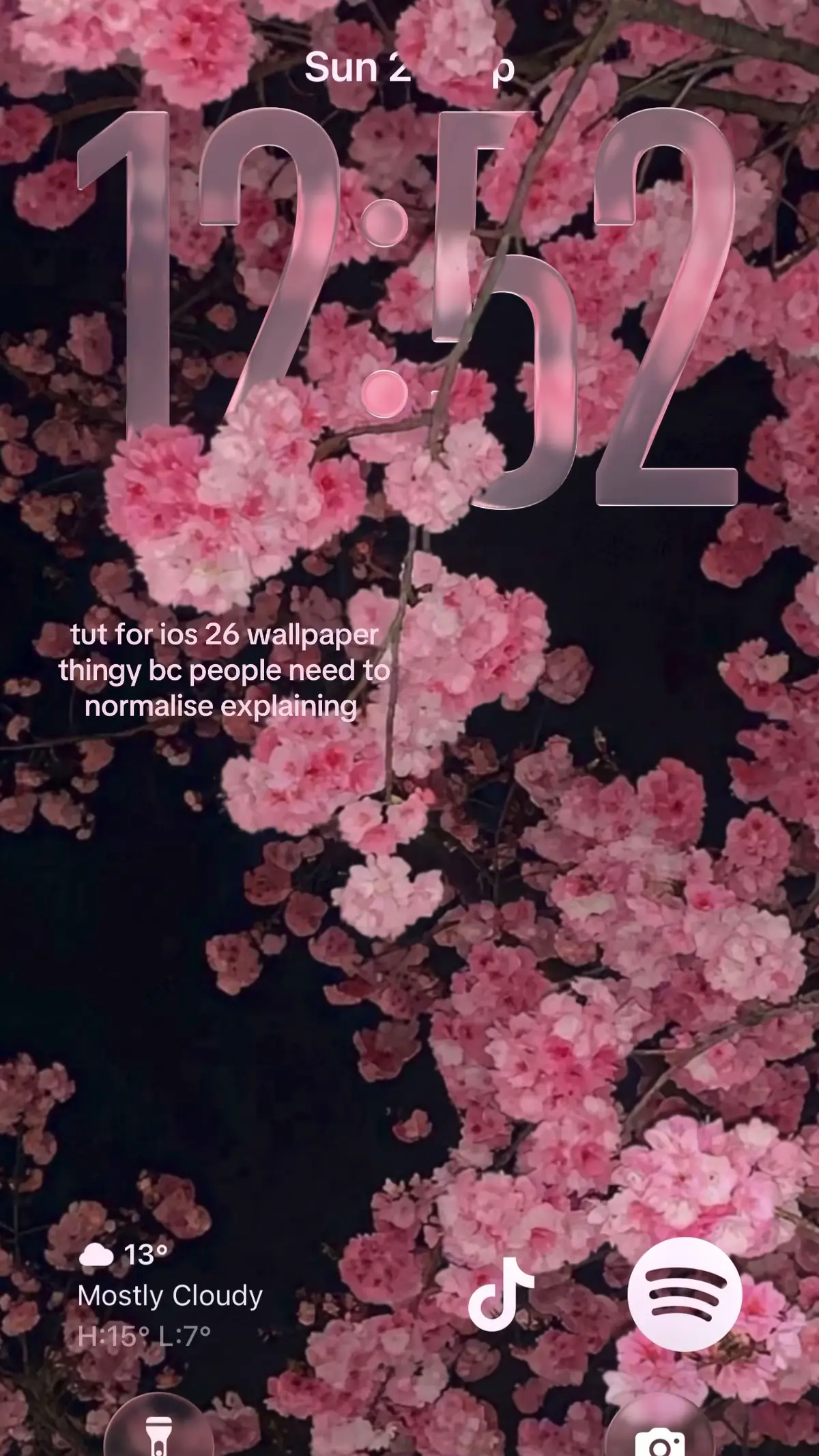 bc some ppl asked☺️ #fyp #repost #ios26 #cherryblossom #idk 