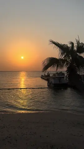 juste du repos 😌#pourtoi #repos #relaxe #vitamine #island 