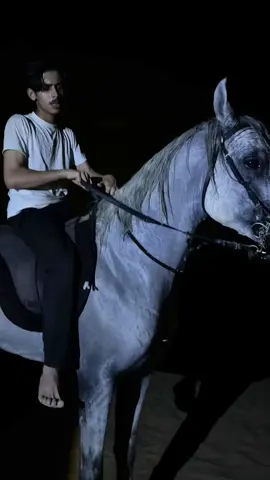 لهيب الله يبارك لهله✨🩶#اكسبلور #خيل_وخياله🐎 #المغرب🇲🇦تونس🇹🇳الجزائر🇩🇿 #اكسبلورexplore #fyp 