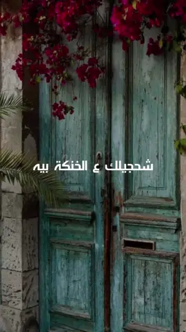 #يكلبي_احبابك #يخنكني_شوكي #ياعطر_شال_وشابك_زلوف 