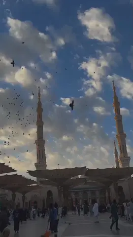Ya rasool allah ❤️✨#videoviral #growmyaccount #unfreezemyacount #islamic_video #fyp 