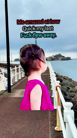 #CapCut #fyp #viral #boost #funnytiktok 