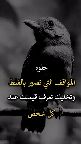 #عباراتكم_الفخمه📿📌 #اجمل_عبارة_راح_ثبتها📌 ##افضل_عبارة_لها_تثييت 