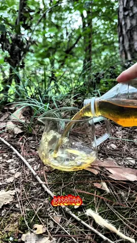 53s Primitive Skill: Foam+Gasoline Makes Glue+FuelforWetConditions#WildernessSurvival #PrimitiveFire#SurvivalHacks#FoamHack #OutdoorSkills