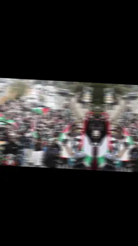 Kenyans around Nairobi Unite to Stand with Palestine #gaza #foryou #fyp 