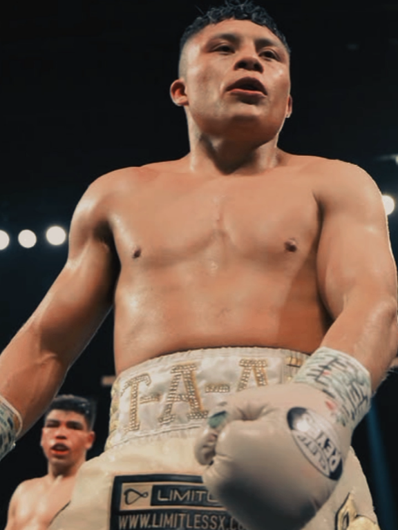 isac pitbull cruz#boxing🥊 #pitbull #isacpitbullcruz #pitbullcruz #tankpitbull 