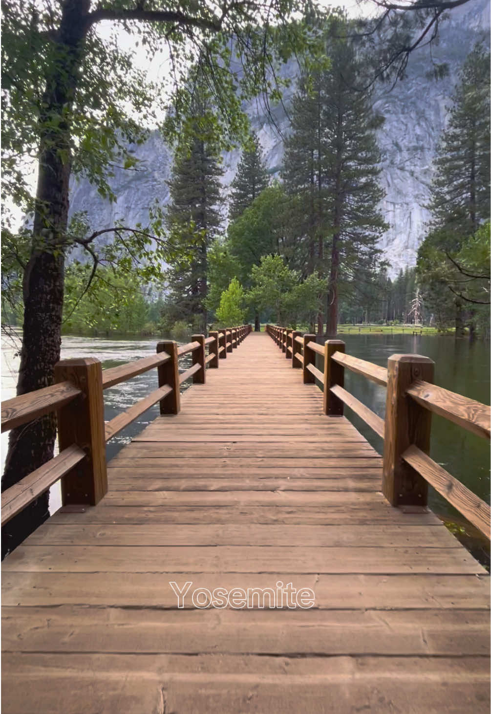 From the iconic Half Dome to the breathtaking Yosemite Valley, every turn reminds you how small we are compared to the beauty of the wild. 🌲✨  #Yosemite #YosemiteNationalPark #NatureEscape #ExploreCalifornia #Wanderlust 