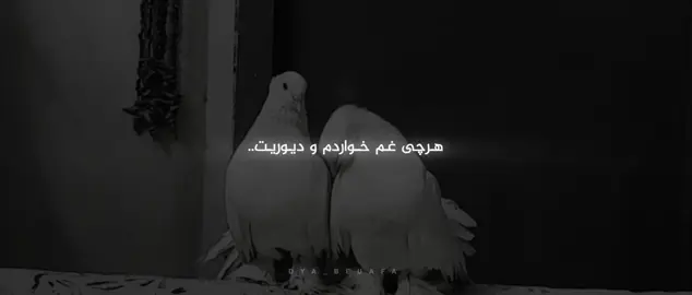 | 7:30 PM |#dya_beuafa 