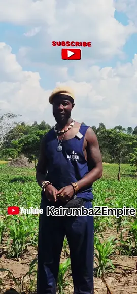 #creatorsearchinsights Listen and Learn #KairumbaZEmpire #mkmarketinggroup #GrowwithusKulanaffe #kairumbaaraalimoodman 