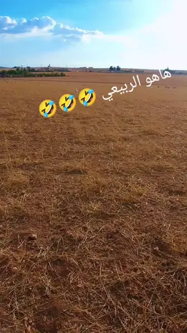 #هاهو الربيعي #🤣🤣🤣