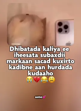 love isarrrrrr😭💕#somalitiktok #videoviral #fppppppppppppppppppp #fyp 