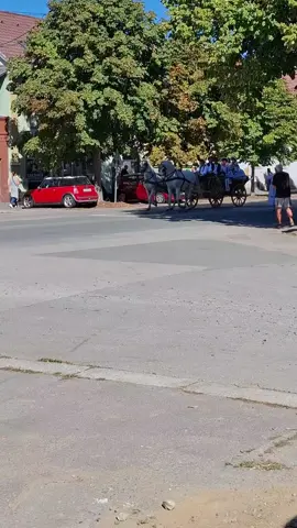 Tradicija, jesen i Vinkovci #vinkovci #vinkovačkejeseni #welovevinkovci #visitvinkovci #fyp 