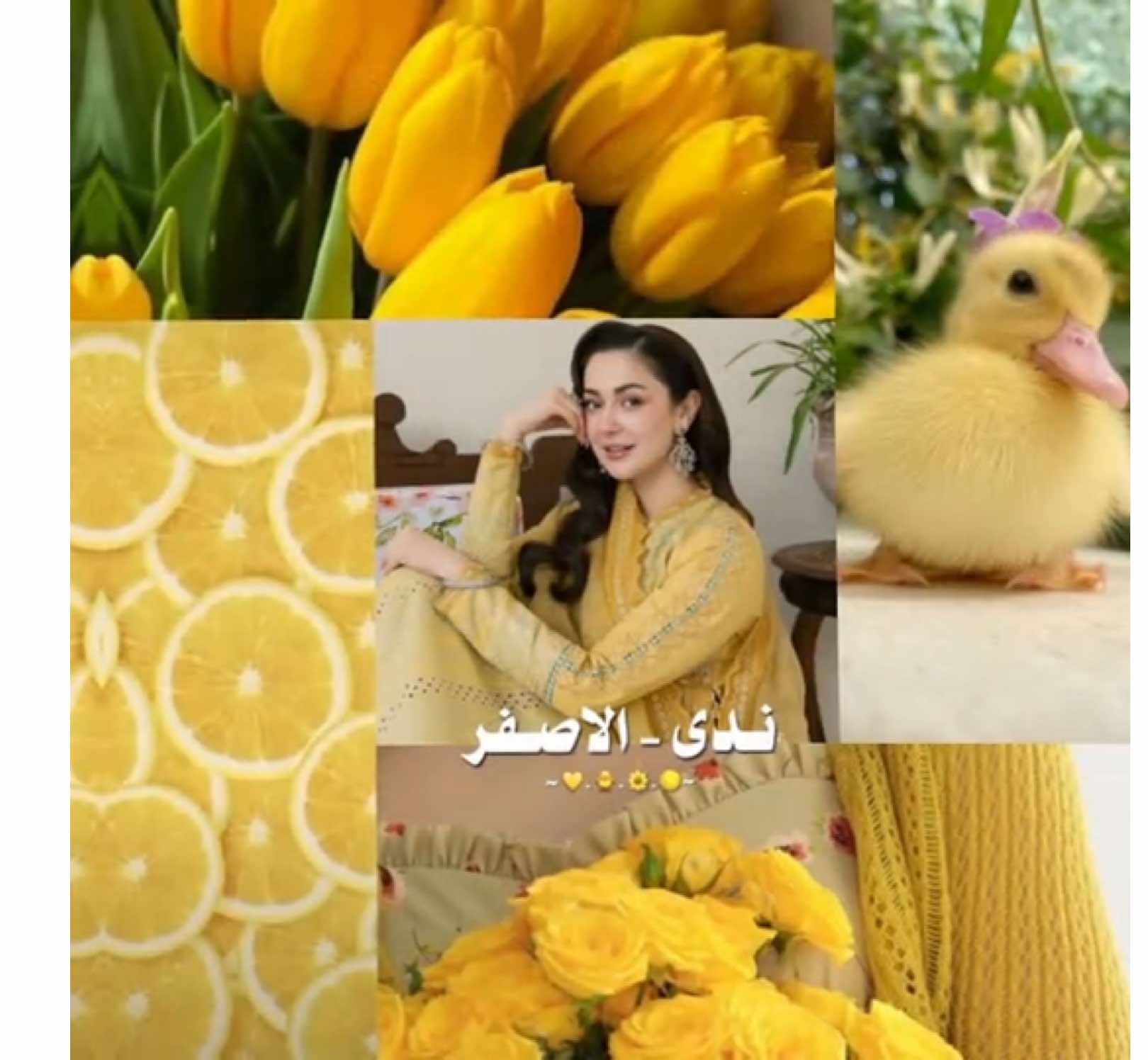 #fyppppppppppppppppppppppp #fyp #ارض_الخناجر #الكاتبه_ايلول #viral @الكاتبة ايلول 