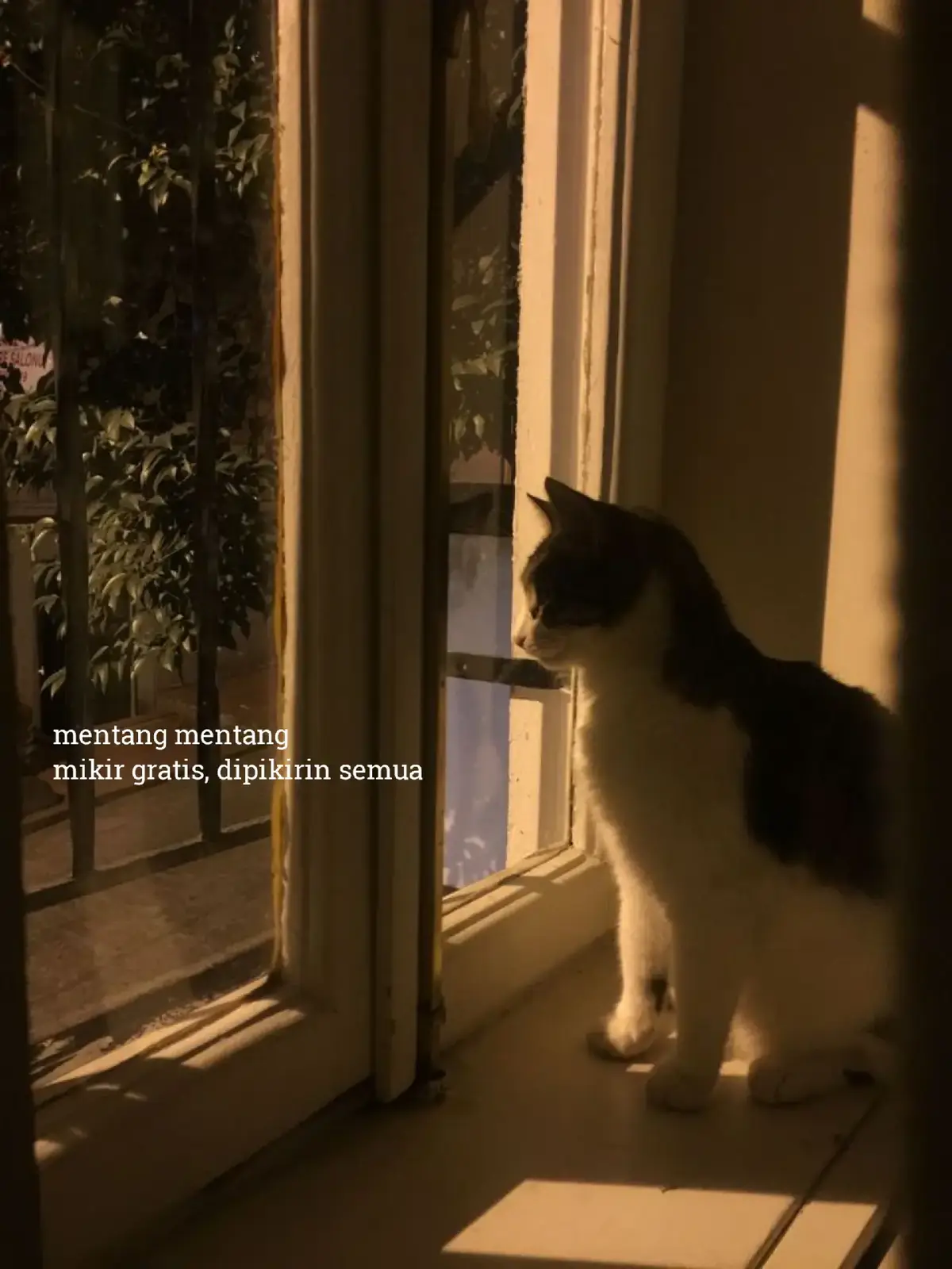 ••• 📝Bahan-bahan: -1 ekor ayam, potong 10–12 bagian -200 gram lengkuas muda, parut kasar -5 lembar daun salam -2 batang serai, memarkan -500 ml air kelapa (bisa ganti air biasa) -Minyak goreng secukupnya Bumbu halus: -6 siung bawang merah -4 siung bawang putih -4 butir kemiri sangrai -2 cm kunyit -2 cm jahe -1 sdm ketumbar bubuk -Garam dan gula secukupnya Cara Membuat: 1. Rebus ayam Masukkan ayam, bumbu halus, lengkuas parut, daun salam, serai, dan air kelapa ke dalam wajan. Masak dengan api sedang hingga ayam empuk dan bumbu meresap. Air menyusut. 2. Goreng ayam Panaskan minyak. Goreng ayam sampai kecokelatan, tiriskan. 3. Goreng lengkuas Sisa bumbu dan lengkuas parut yang sudah dimasak bisa ikut digoreng sebentar sampai kering dan renyah. Angkat dan taburkan di atas ayam goreng sebagai pelengkap. 👉 Hasilnya ayam gurih, daging empuk, dengan taburan lengkuas garing yang wangi. Selamat Mencoba!!!  #fyppppp #foryoupage #masukberandafyp 