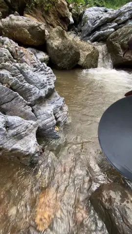 Facebook : Gold Discovery Armin. Discovery of a mining location containing a lot of gold  #goldhunter  #golddiscovery  #goldmining  #goldrush  #goldprospecting  