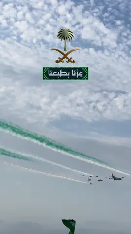 #SaudiNationalDay_95 