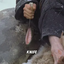 #movie #filmcommentary #foryou #usa 