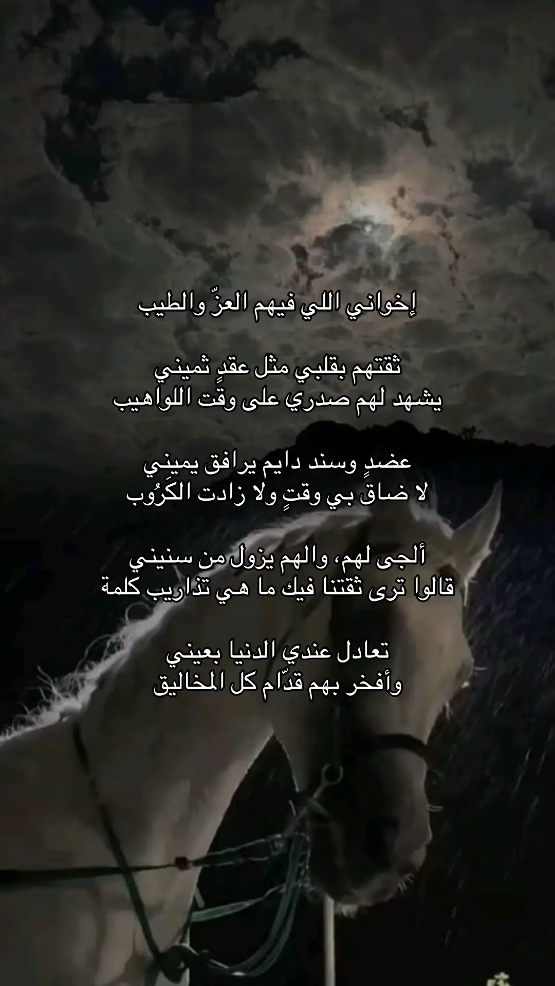 إخواني اللي فيهم العزّ والطيب🤍.#ربي_يحفظ_لي_اخواني.#اخواني #fpy 