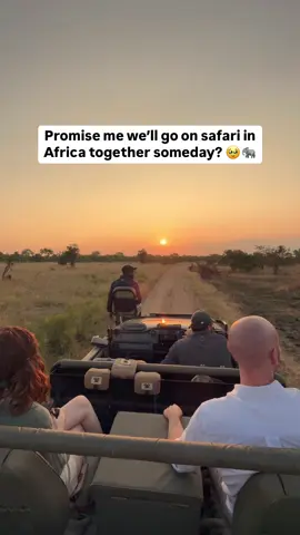 Send this to your person 🥹🐘 Safaris are a feeling. 🧡  We simply can’t explain what it’s like to be in the middle of the African bush, the sounds, the smells, the sights and then seeing your first elephant or first lion. It’s truly mesmerising and so emotional. It’s an experience like no other. 🦁🐘 There are all sorts of ways to go on safari, different styles and different countries. There is something for everyone. 🦒 Any questions, drop us a message 😊 Follow @mrandmrsd.adventures for more travel tips & guides to help you plan your dream safari! 🧡 #AfricanSafari #safariexperience #africasafaris #safaritrip #safariafrica #safaris #safaritips #safari 