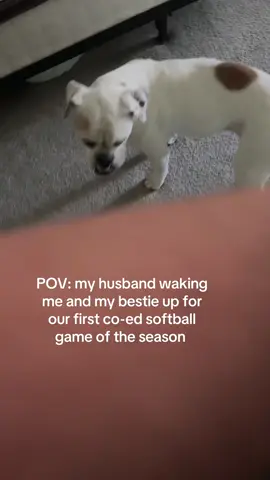 We take it a little to seriously🤣 #coedsoftball #softballtiktoks #softballgirl 