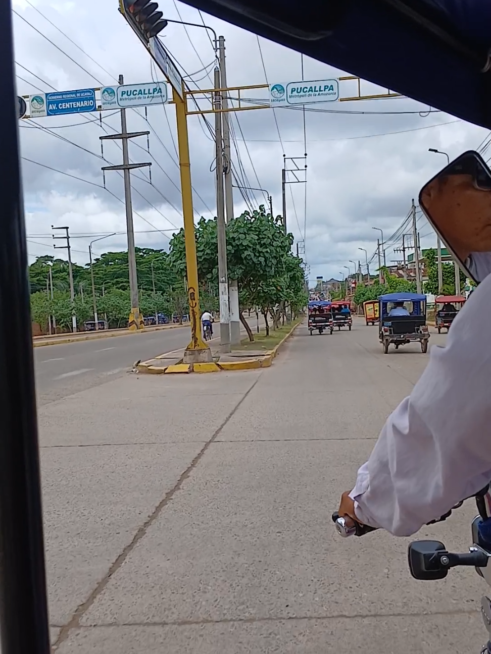 Imagínate vivir en otro lugar que no sea Pucallpa y perderte de esto😂 #pucallpaperú🌴🦜🐍🐢🦥 