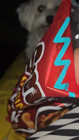 Masha Smoki 🤦‍♀️ #fyp #viral #maltezeri #pas #ljubav 