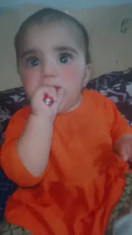 #creatorsearchinsights 