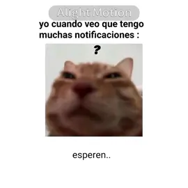 gracias por 9000 seguidores ✨✨✨#edit #alightmotion  #miacatel #apoyo #humor 