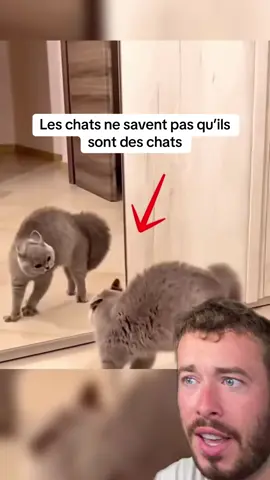 C’est assez drôle 😂
