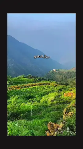 #اكسبلور 