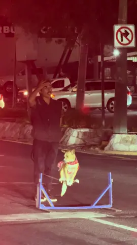 No puedo con estoooo 😍🥹 @.pedroperros 