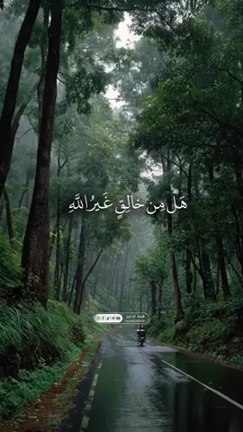 القارئ هيثم الدخين Haitham Aldokhin /هَلْ مِنْ خَالِقٍ غَيْرُ اللَّهِ يَرْزُقُكُمْ مِنَ السَّمَاءِ وَالْأَرْضِ:#سورة_فاطر #هيثم_الدخين #هيثم_الدخين #هيثم_الدخين #haldokhin 