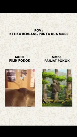 Beruang mode pokok dan panjat pokok la ni😎#fyp #mega #foryou #viral #tiktokmalaysia 
