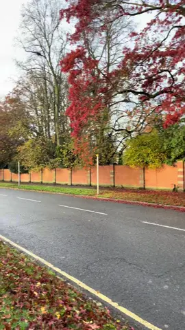 پایز🍂🍁#York#yorkshire#england🇬🇧#unitedkingdom#baritanya🇬🇧